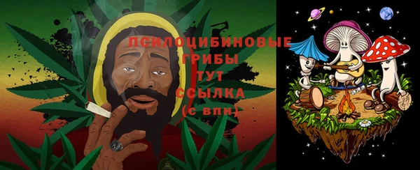 метадон Арсеньев