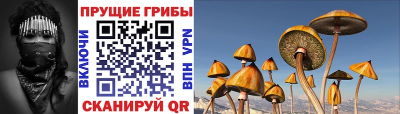 Галлюциногенные грибы прущие грибы Мензелинск